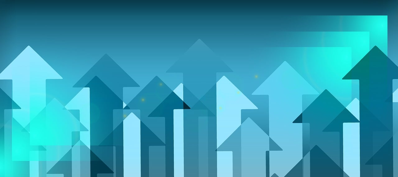 2024新奥天天免费资料53期，新技术引领战略变革_DIY版ONR40.16.9