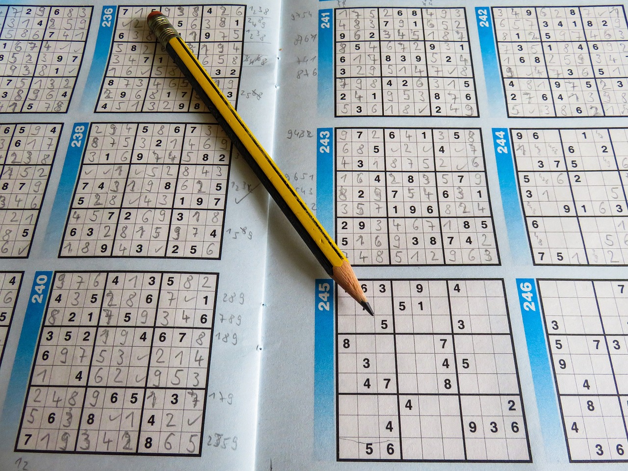 香港6合开奖结果+开奖记录2024,优化执行方案_SU170.555