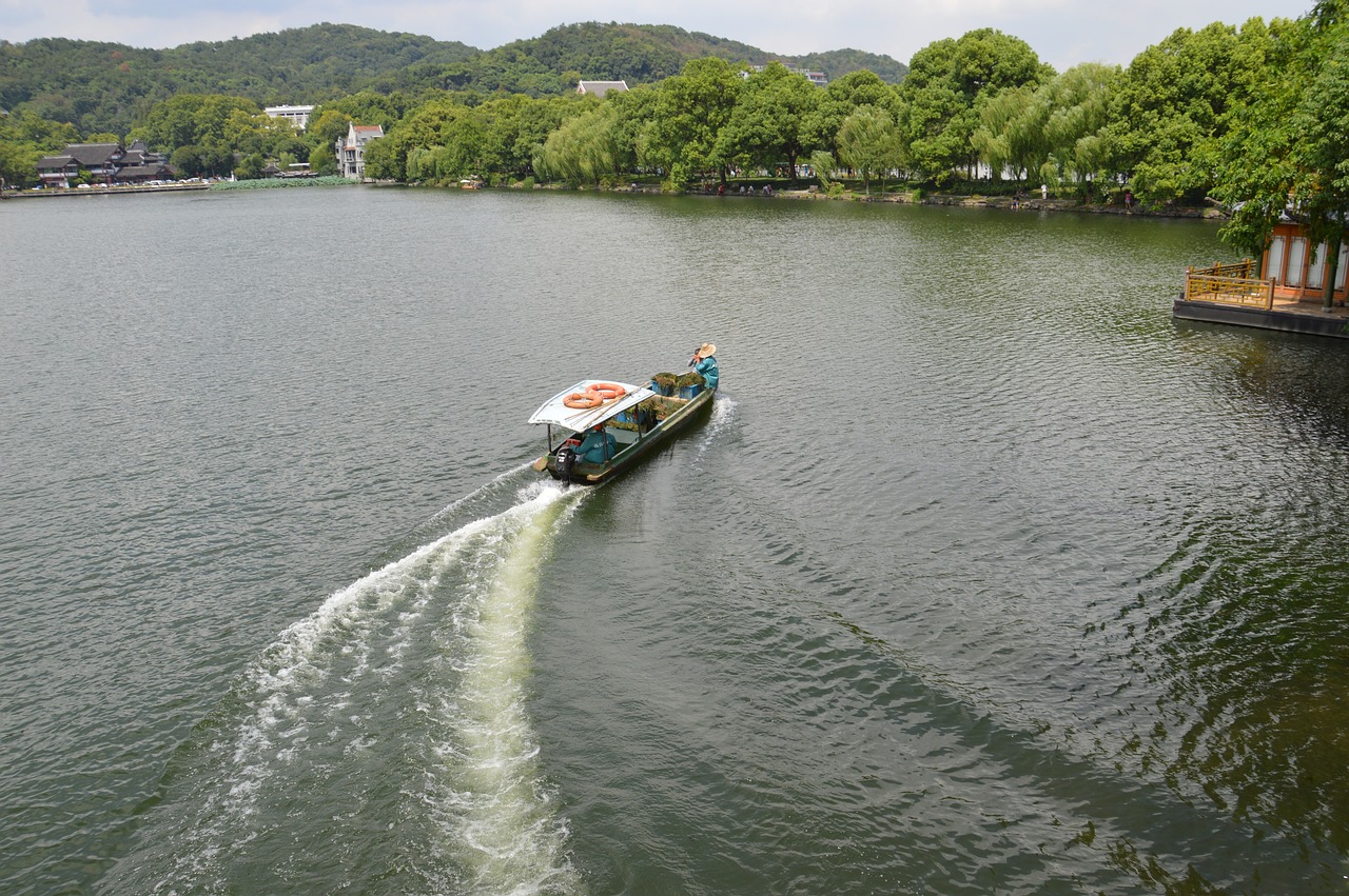 杭埠华夏幸福最新动态，引领区域发展的新时代步伐进展更新