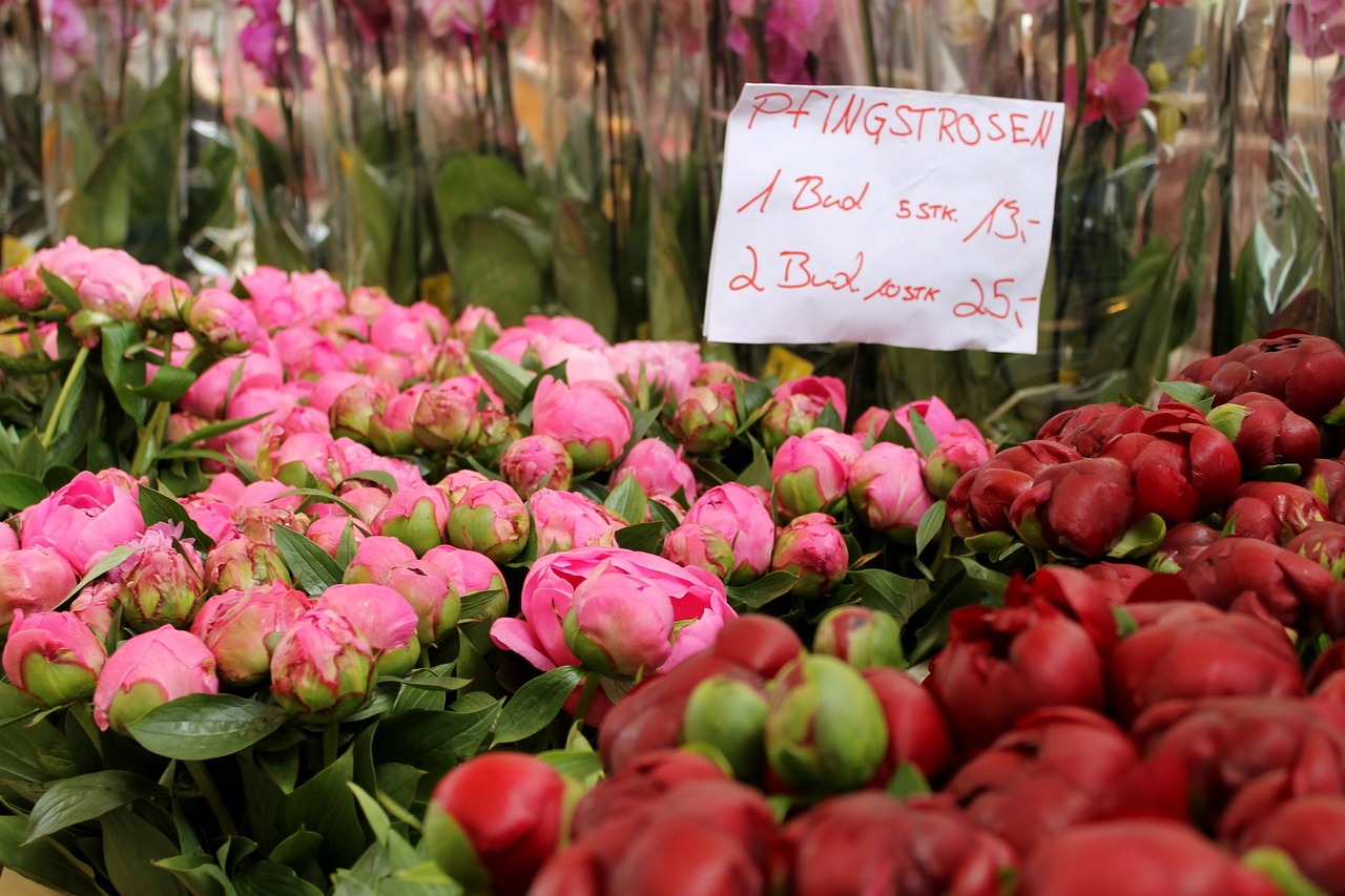 茶花鸡价格及其市场影响力探究