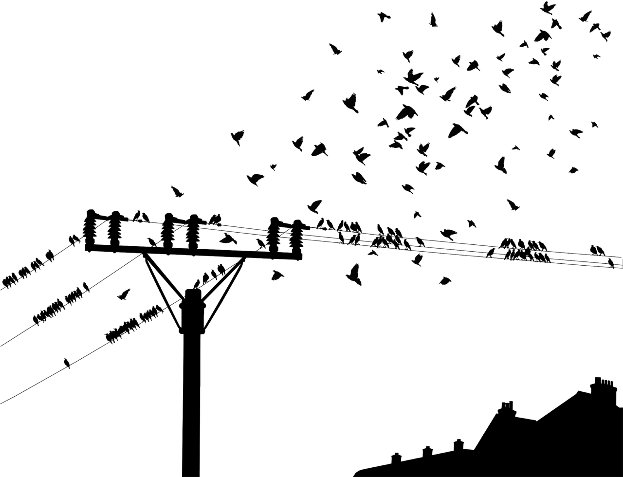 失魂症 第31页
