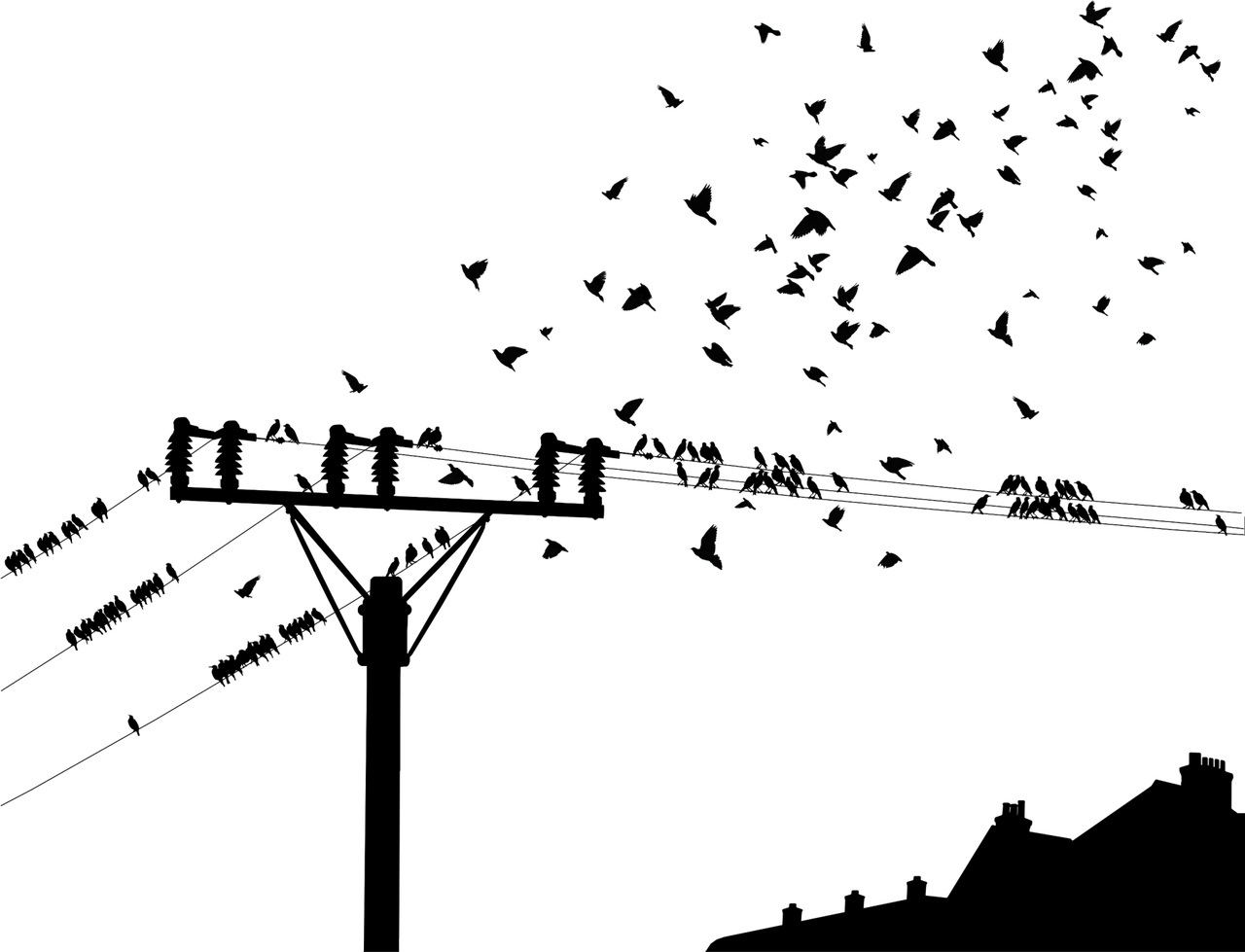 探究VCOM无电压现象,影响与解析