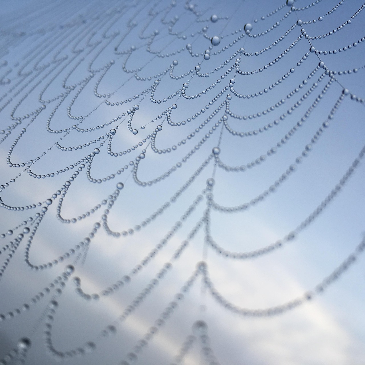 芯片内部结构揭秘,微观世界的奥秘与复杂性探索