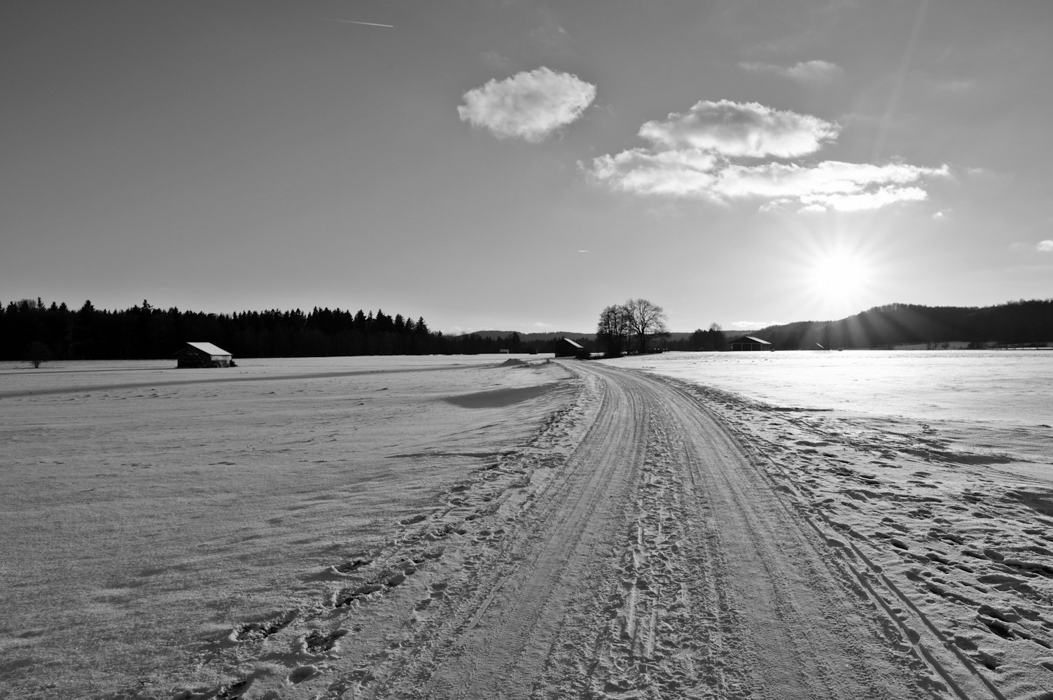 环境光传感器应用,探索现代科技与自然的和谐共生之道