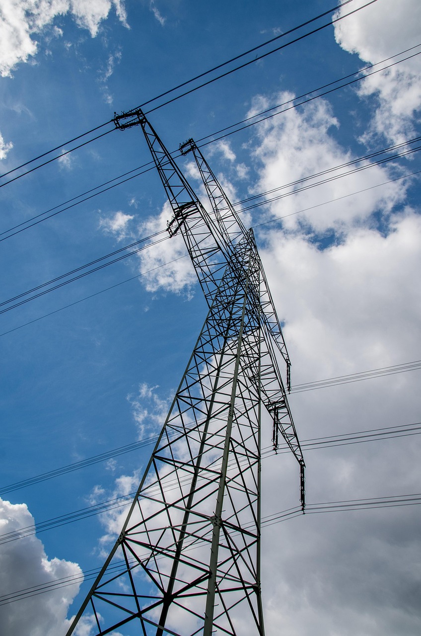 输入电压229伏时的电子系统性能与特性探究