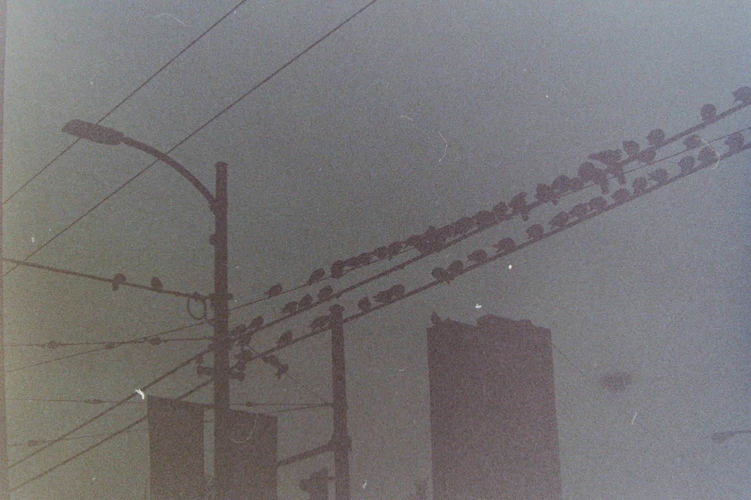 探索揭秘,220V LED小夜灯电路图设计与工作原理详解