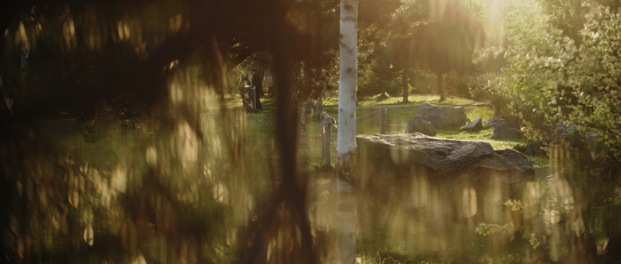 小叙最新小说，奇幻之旅探索未知世界