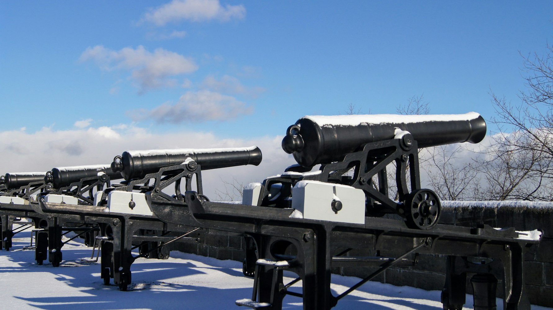 世界最新枪械图片概览，最新枪械展示与概览