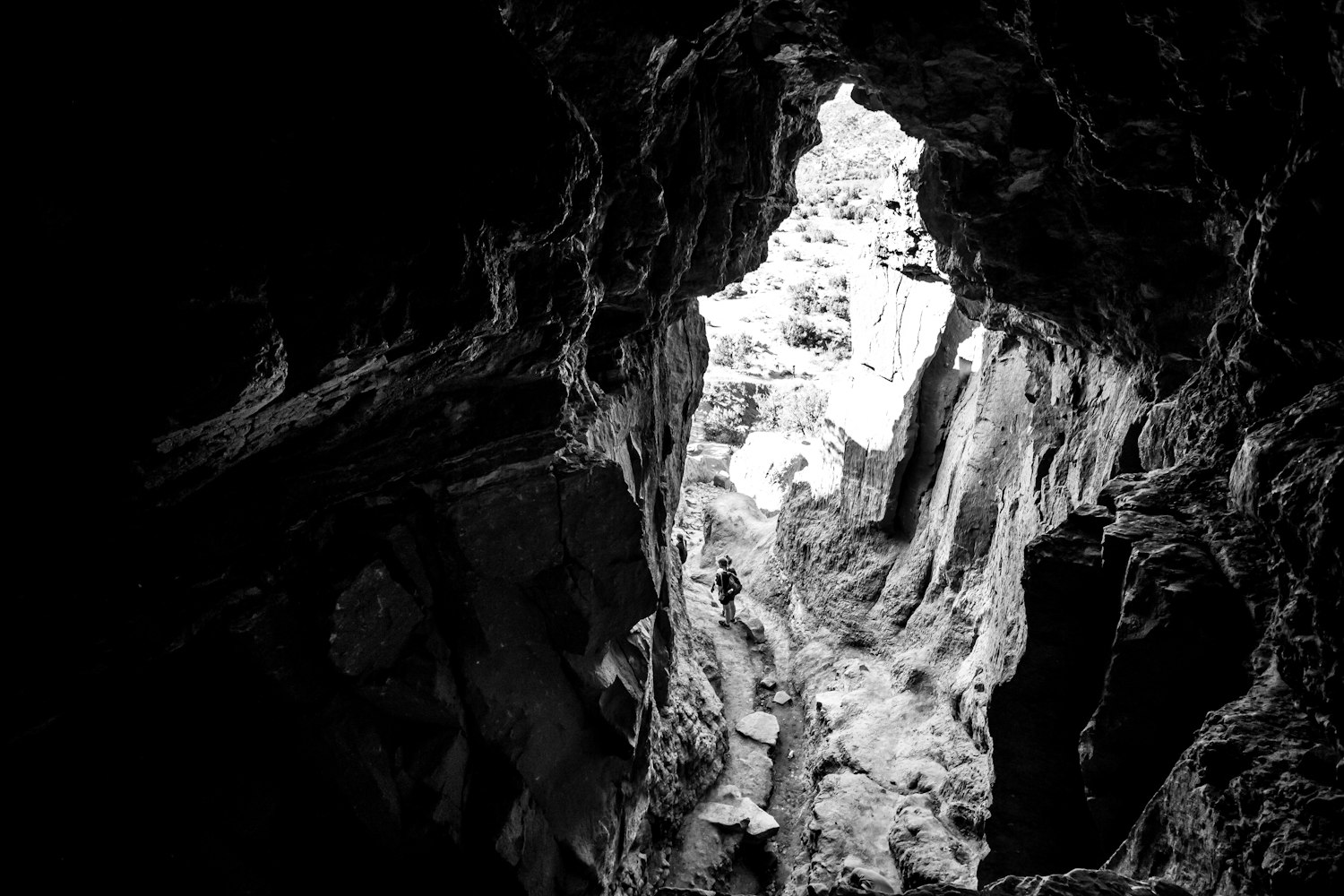 探索未知世界，揭开神秘不明生物视频最新揭秘