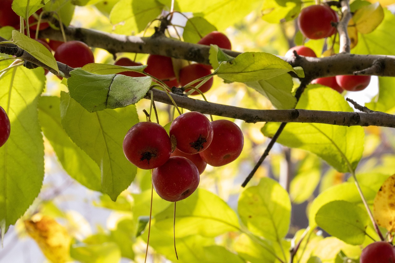 甘肃礼县最新新闻动态速递