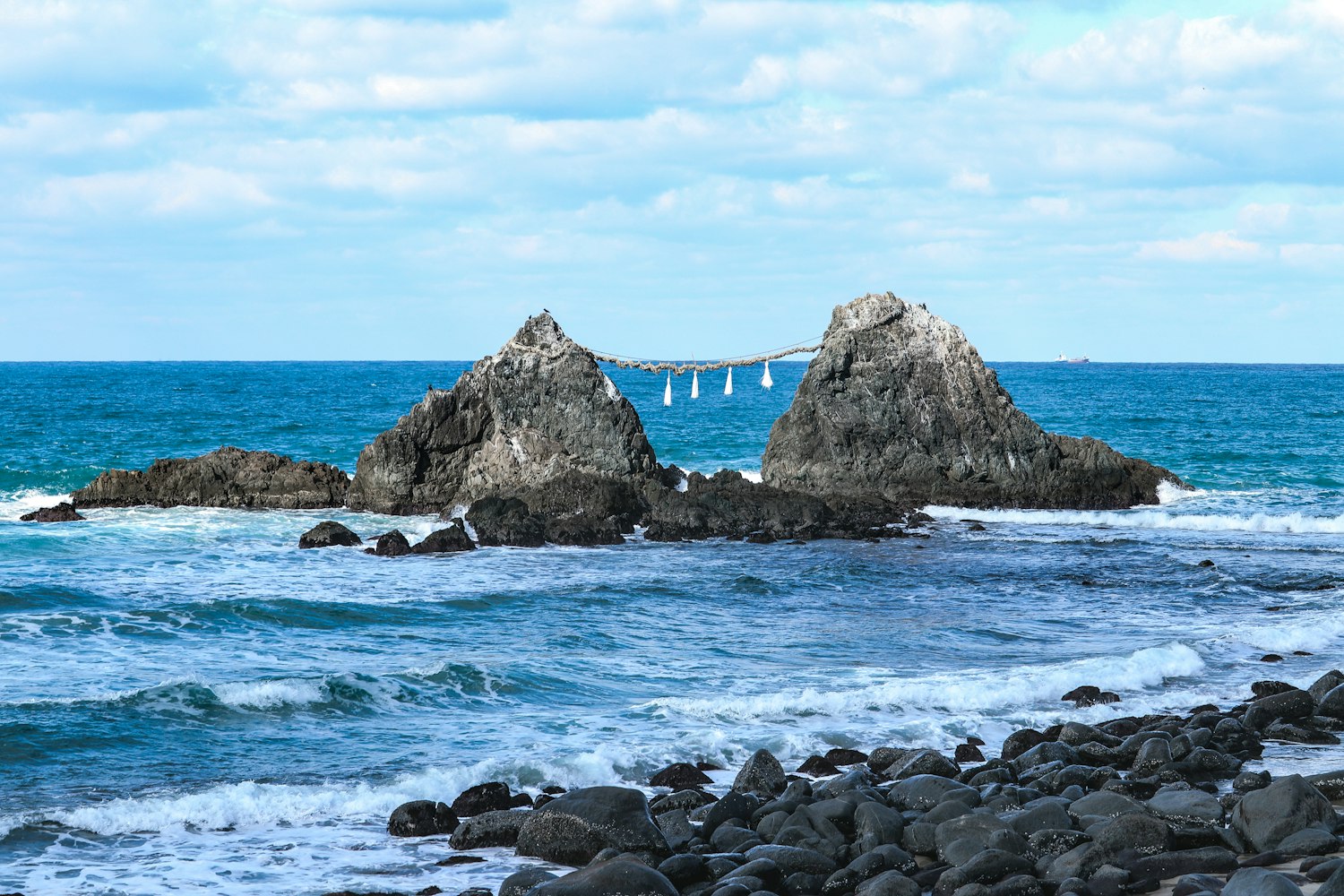Kong最新熊片，自然与文化的魅力探索之旅