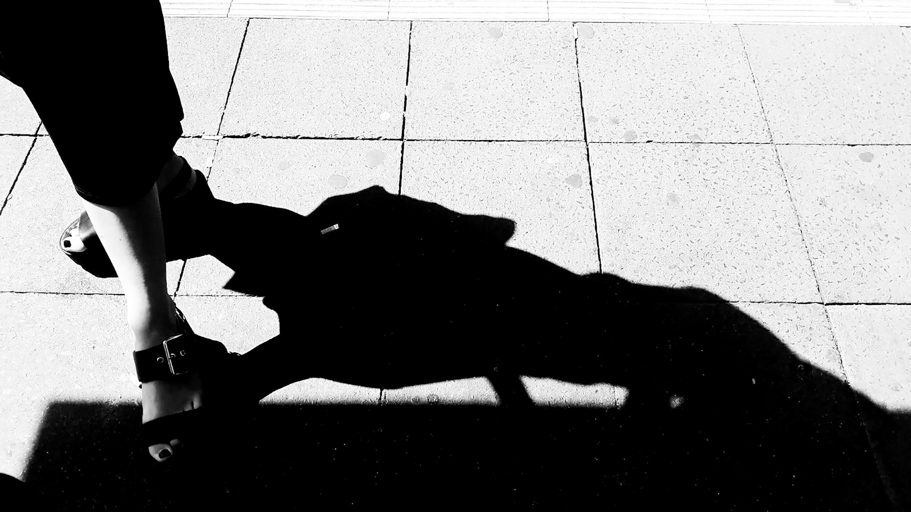 最新QQ说说精选，时尚潮流、情感生活与励志成长之路