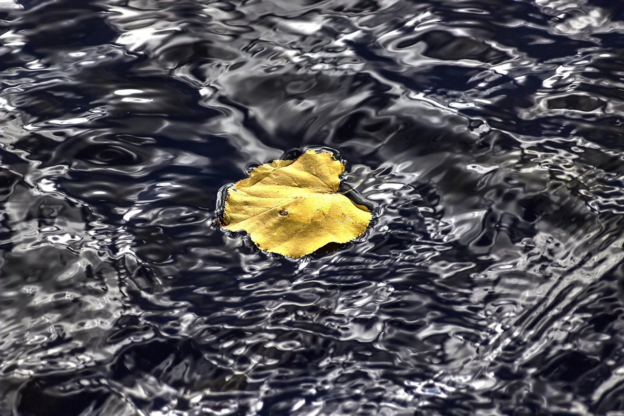 本溪护士招聘最新动态发布