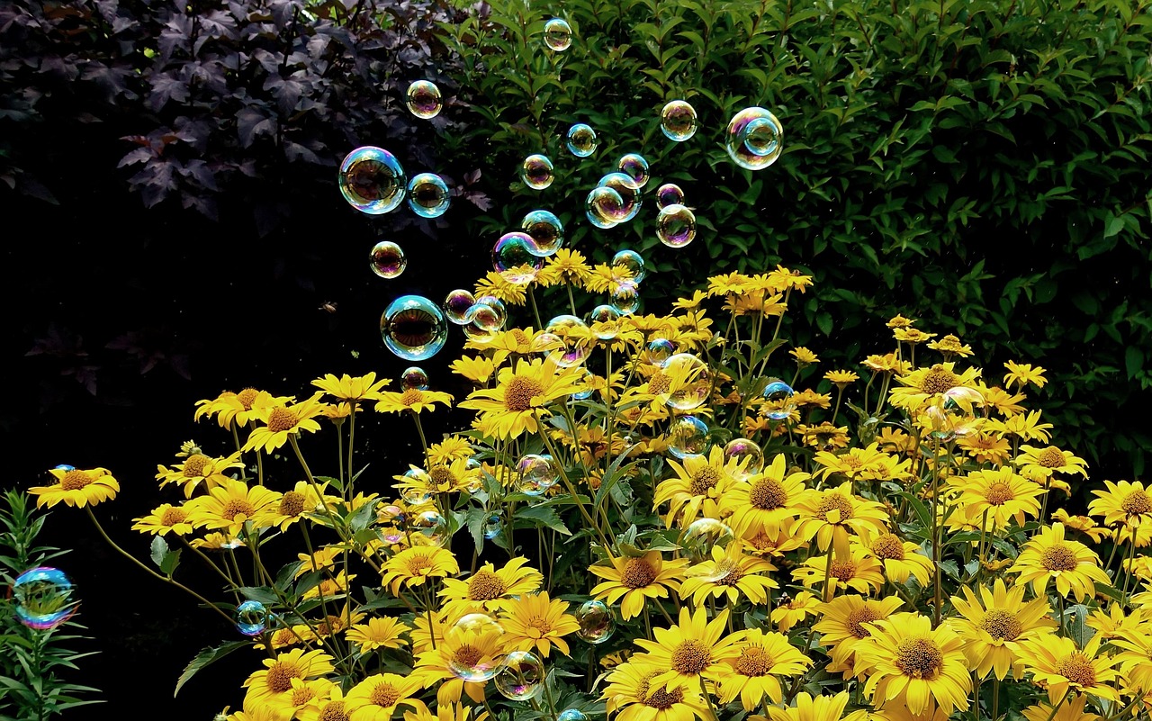 兴国最新租房信息概览，全面解析租房市场与房源动态