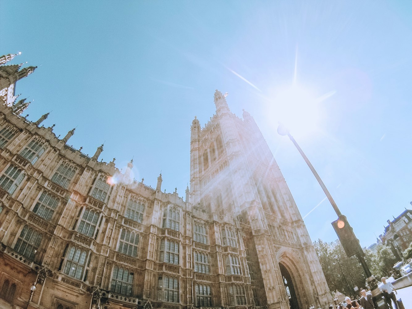 猫色maose最新探索与赏析,探索最新动态与精彩赏析