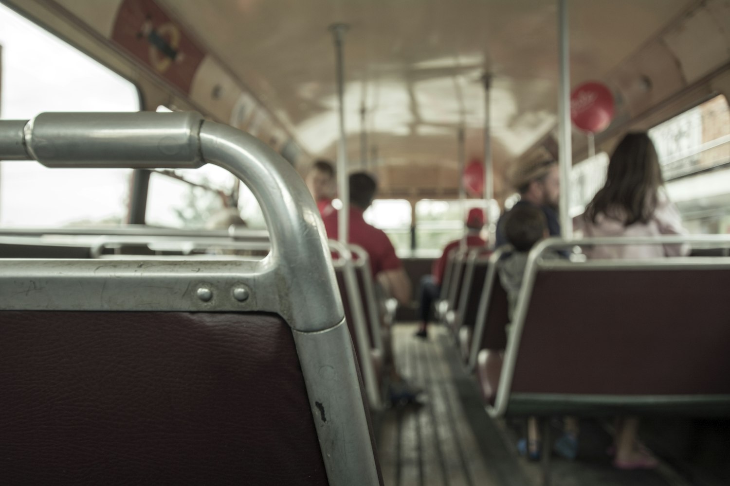 猫色maose最新探索与赏析,探索最新动态与精彩赏析