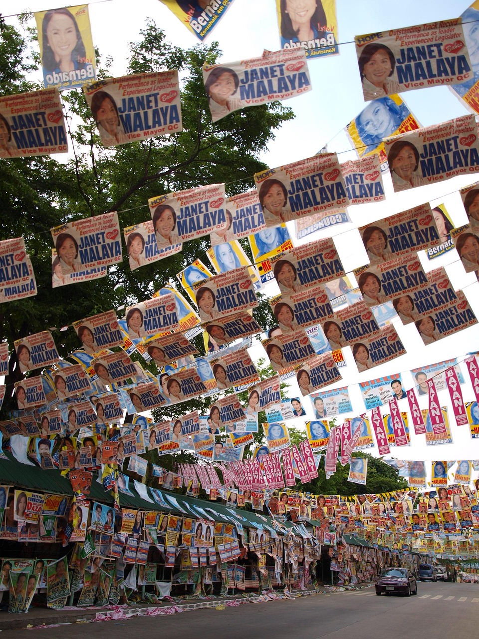 成武豆角最新价格及市场动态分析