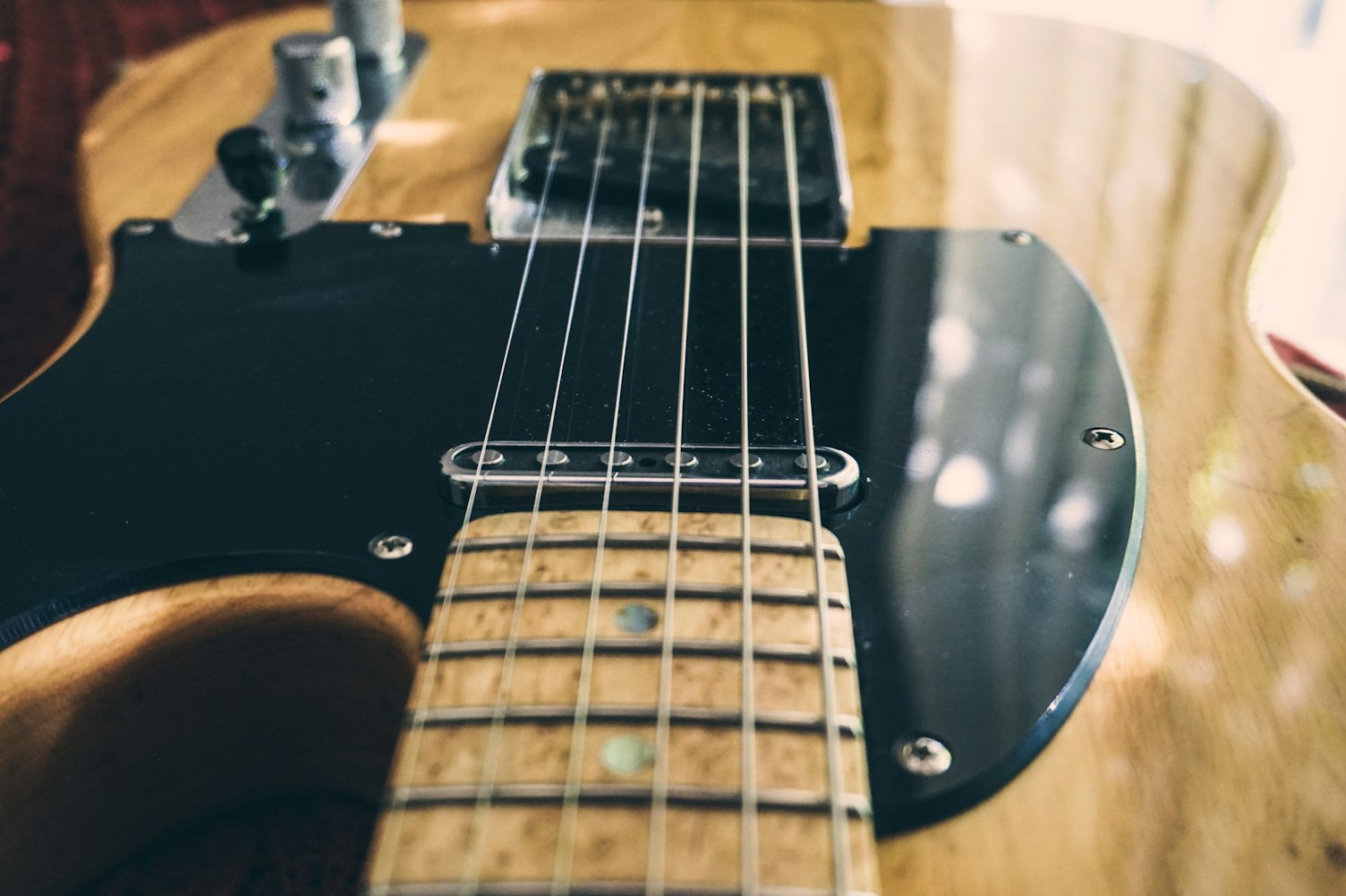 鸿雁萨克斯最新简谱，探索音乐之美的崭新篇章