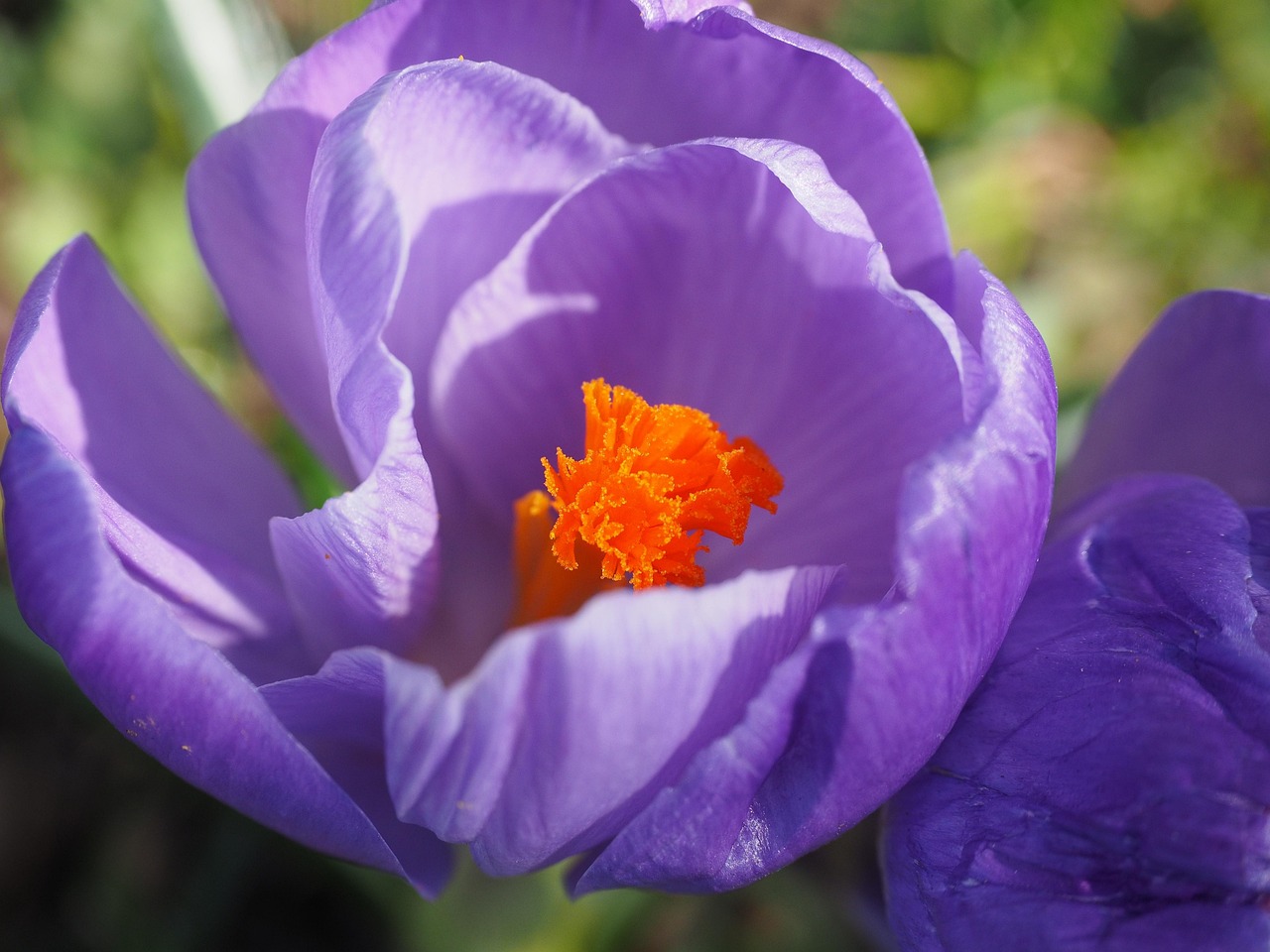 滕州往北发展的最新动态概览