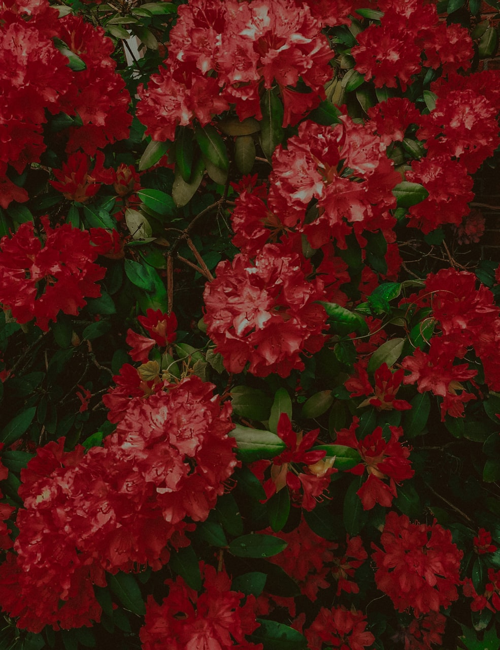 中国最新发展动态，国家进步、社会繁荣与民生改善概述