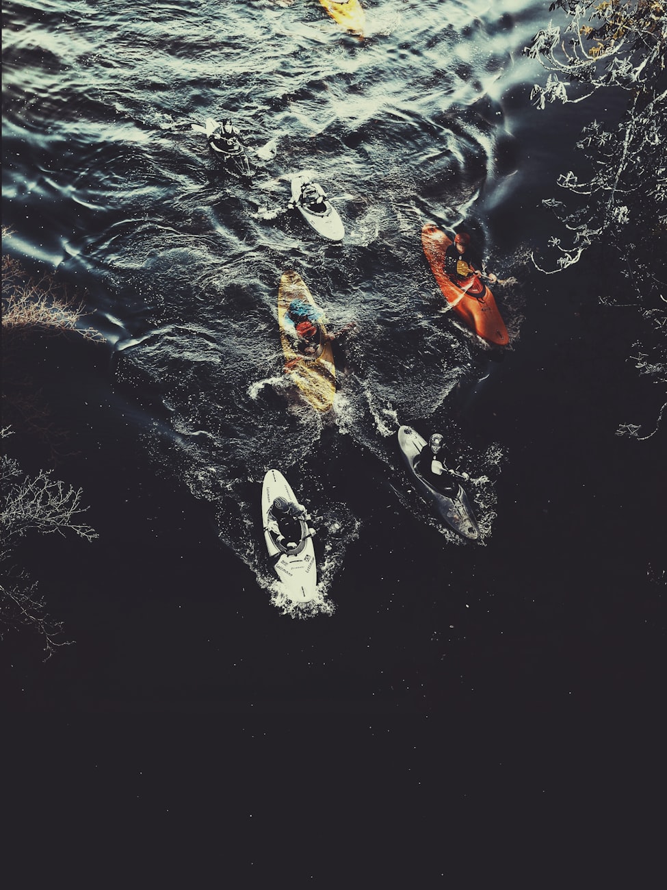 园洲最新房价动态及市场走势，购房指南与最新趋势分析