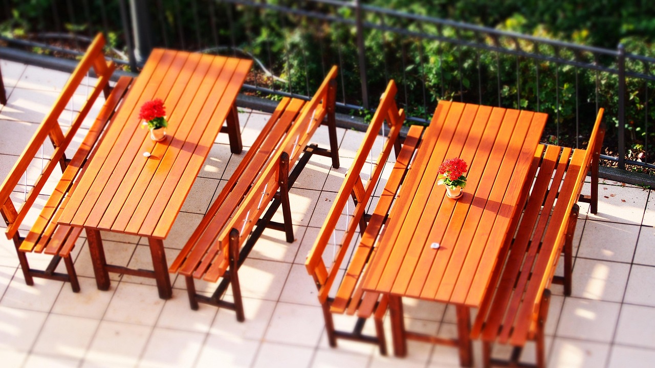 武邑最新新闻速递,最新动态一网打尽