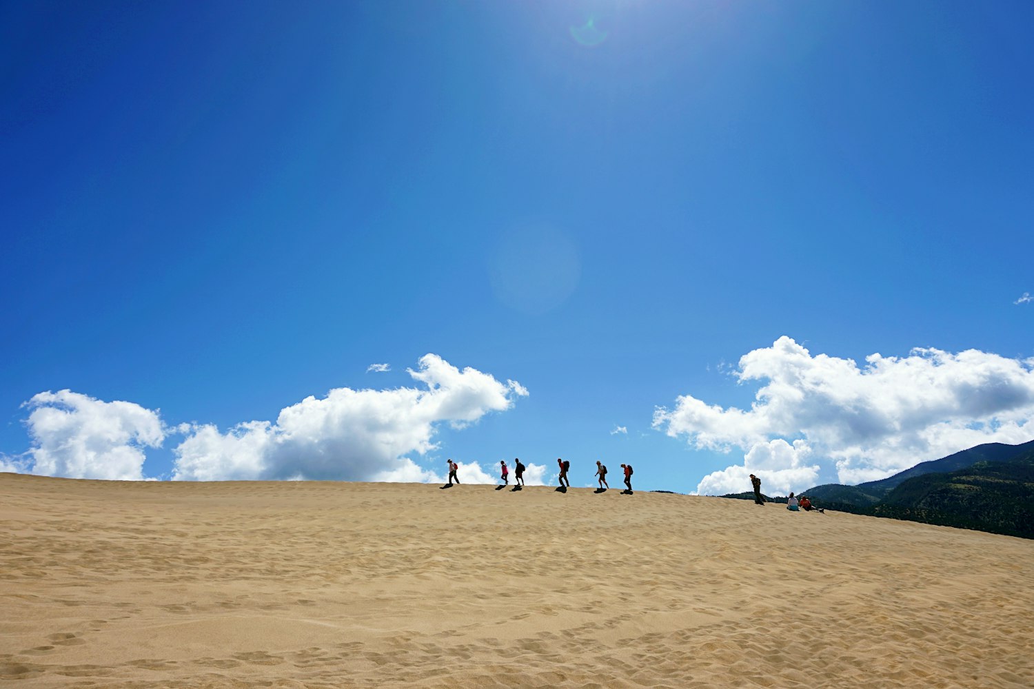 探索北海道，自然与文化的完美融合之旅