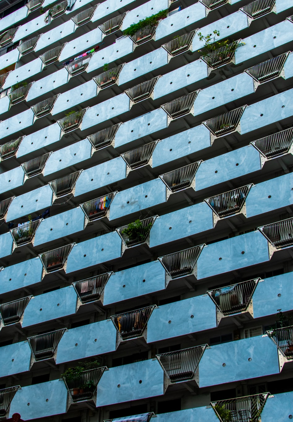 徐州蔬菜最新行情概览与动态分析