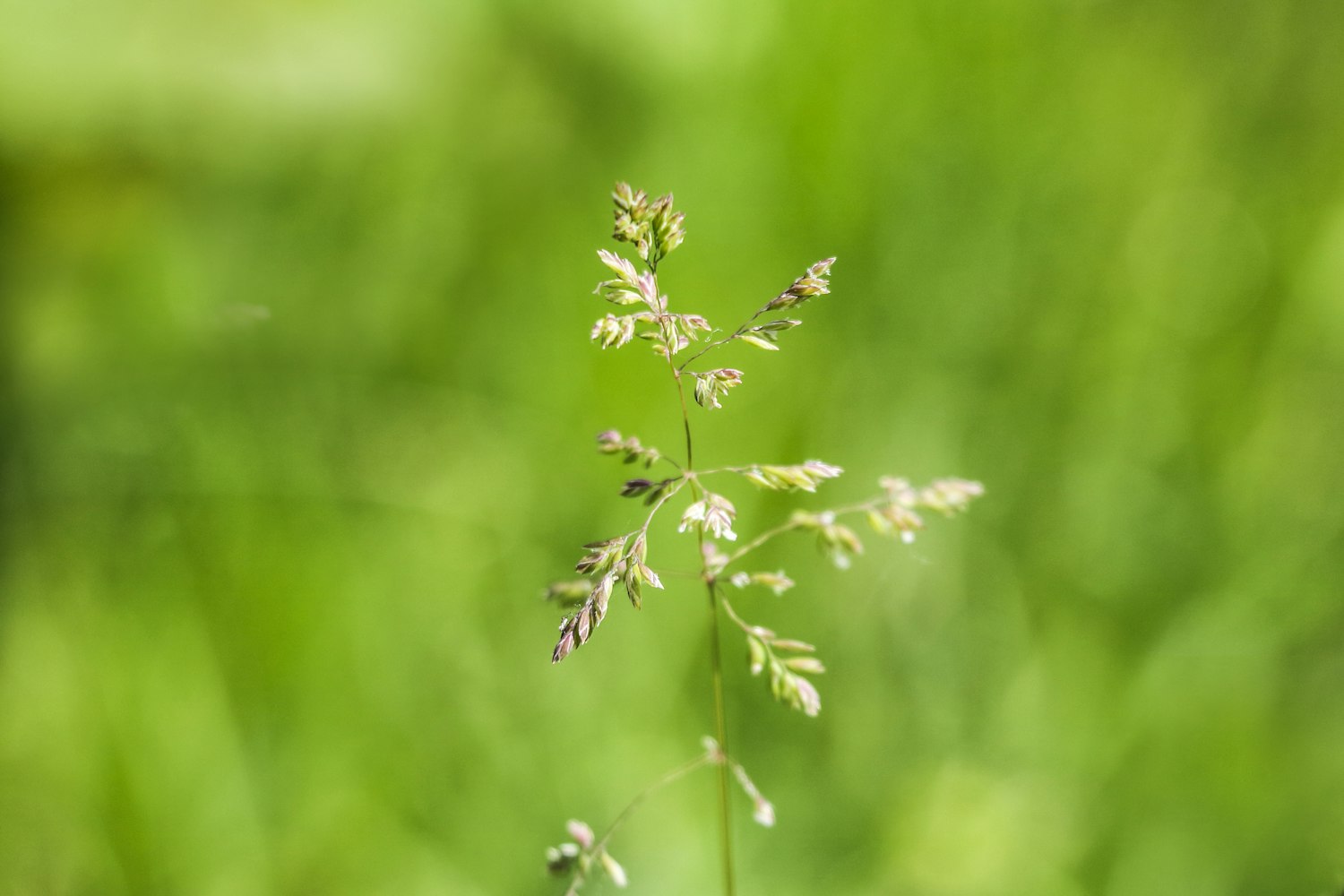 五五开最新动态,探索未来无限可能,展望新篇章