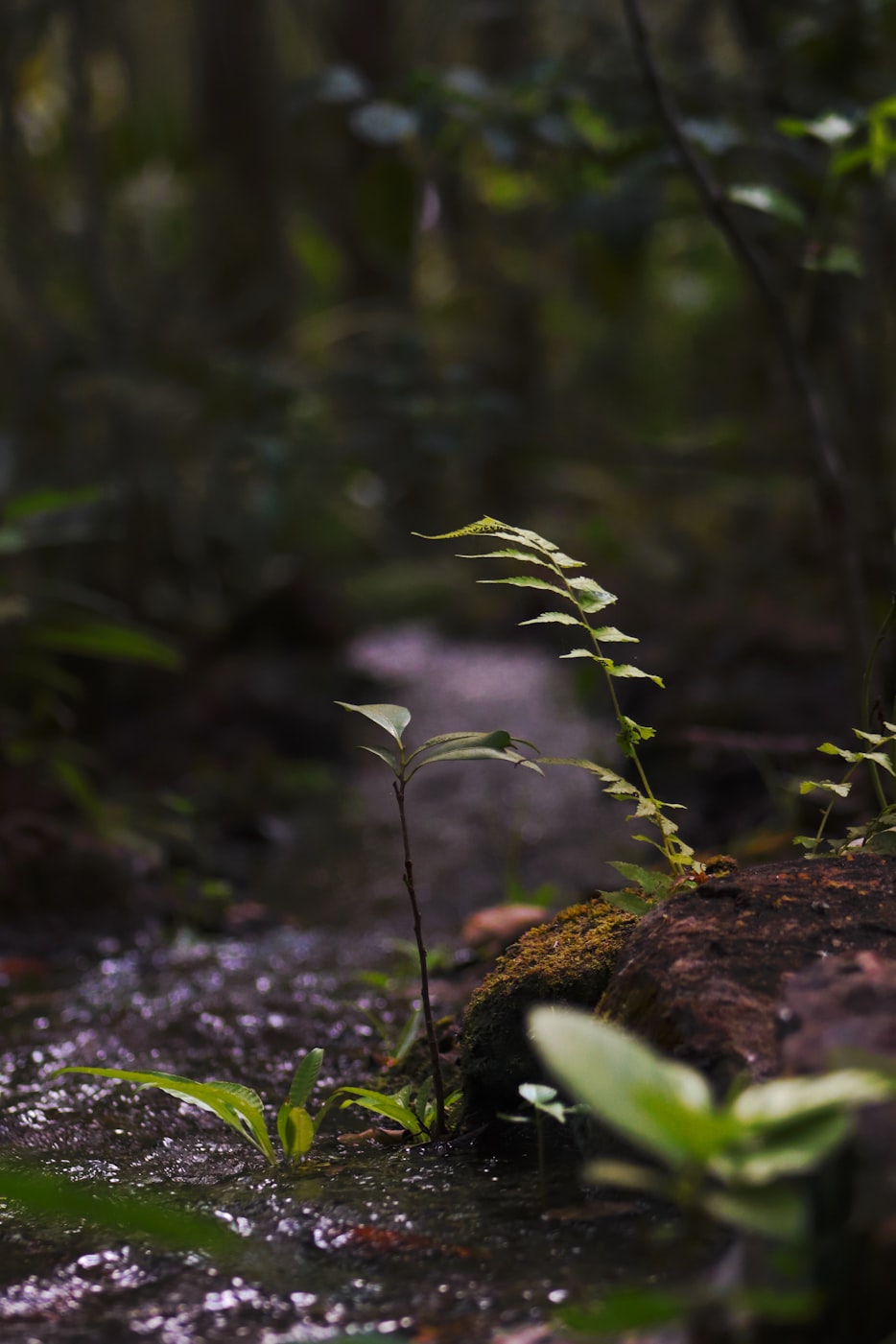 TF小黑屋最新动态揭秘,探索私密空间的新篇章