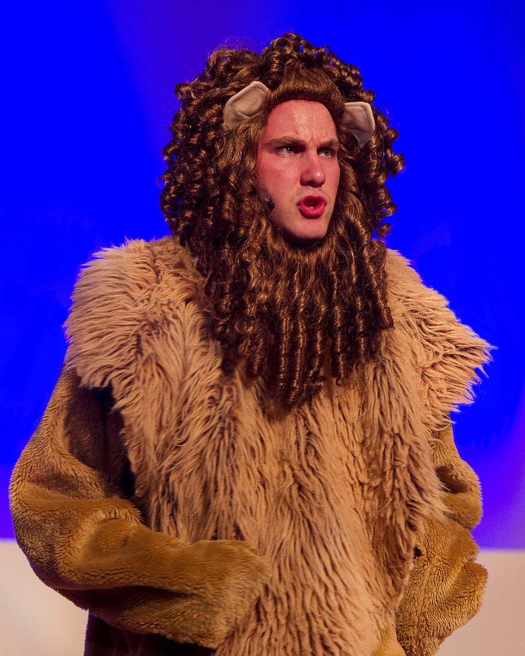 芭比最新大电影，梦幻与现实之碰撞的奇幻之旅