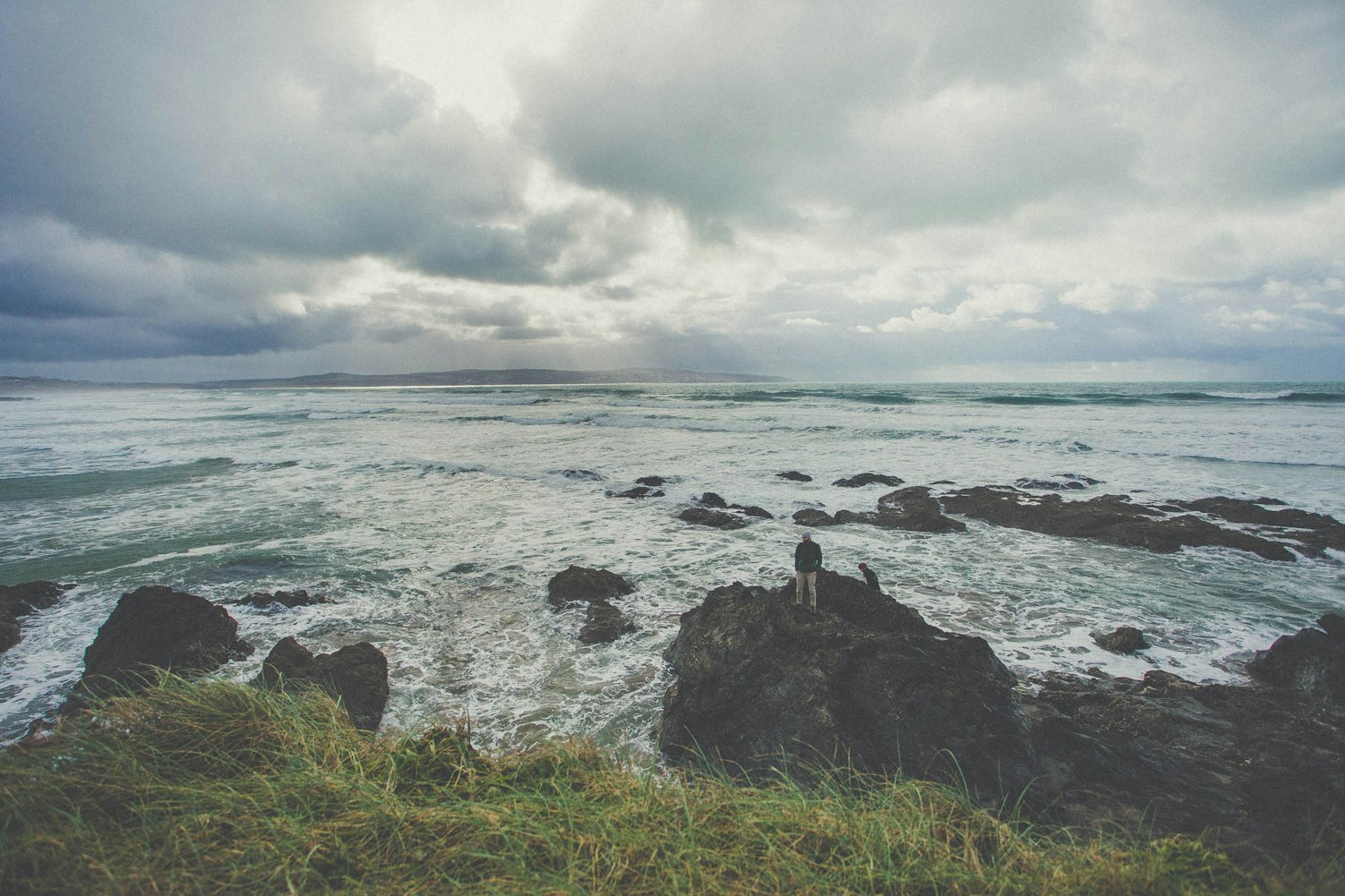 关于498cao的最新探索与发现