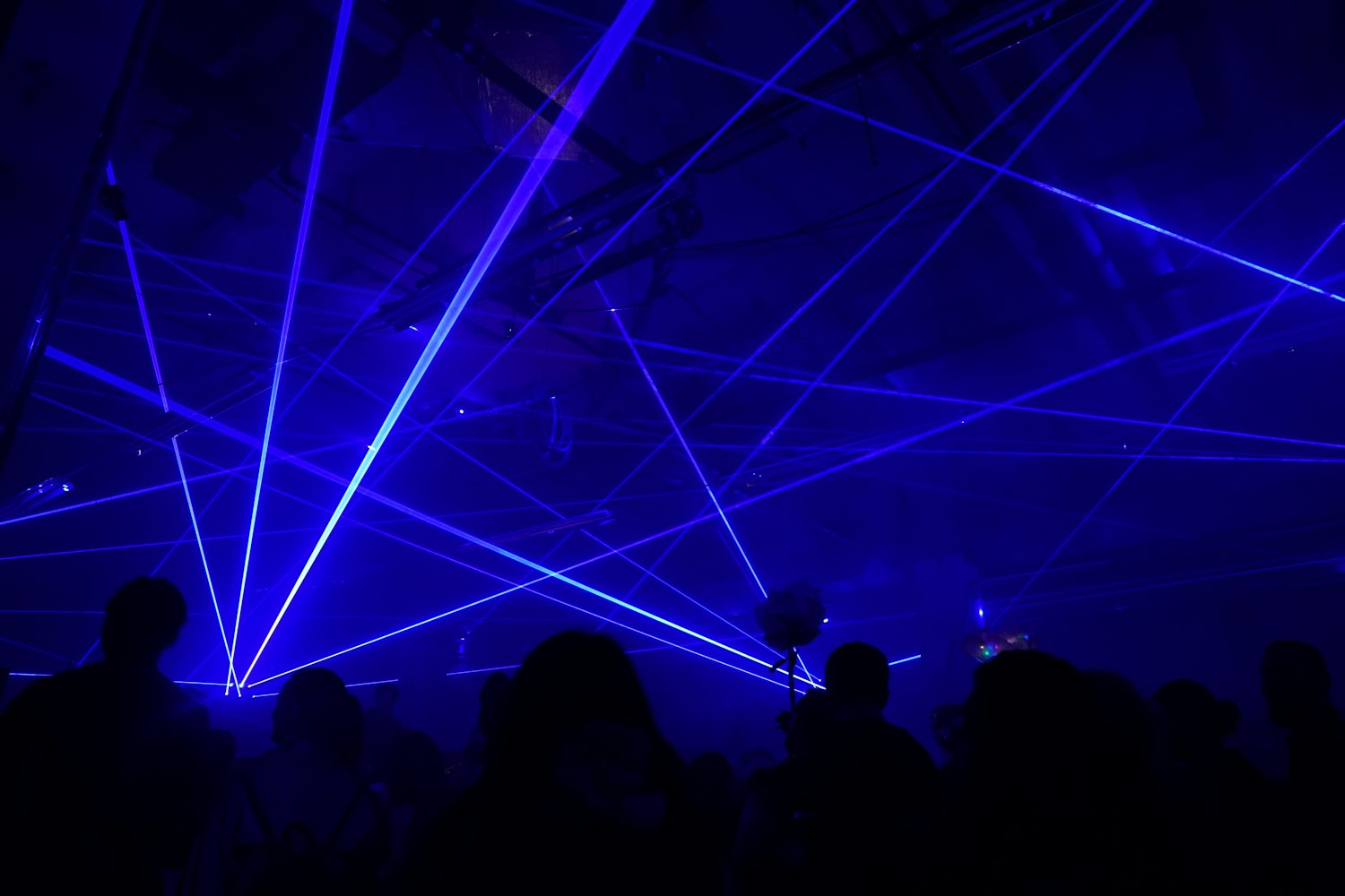 泰勒最新MV解读,探索音乐与视觉艺术的融合魅力