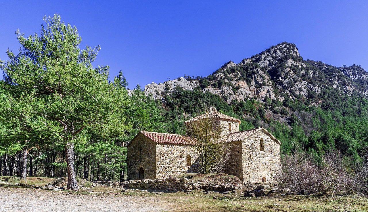 乐视会员最新动态与特色体验揭秘