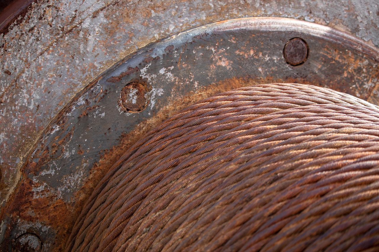 沿河领导层最新任免动态,新变化及其影响展望