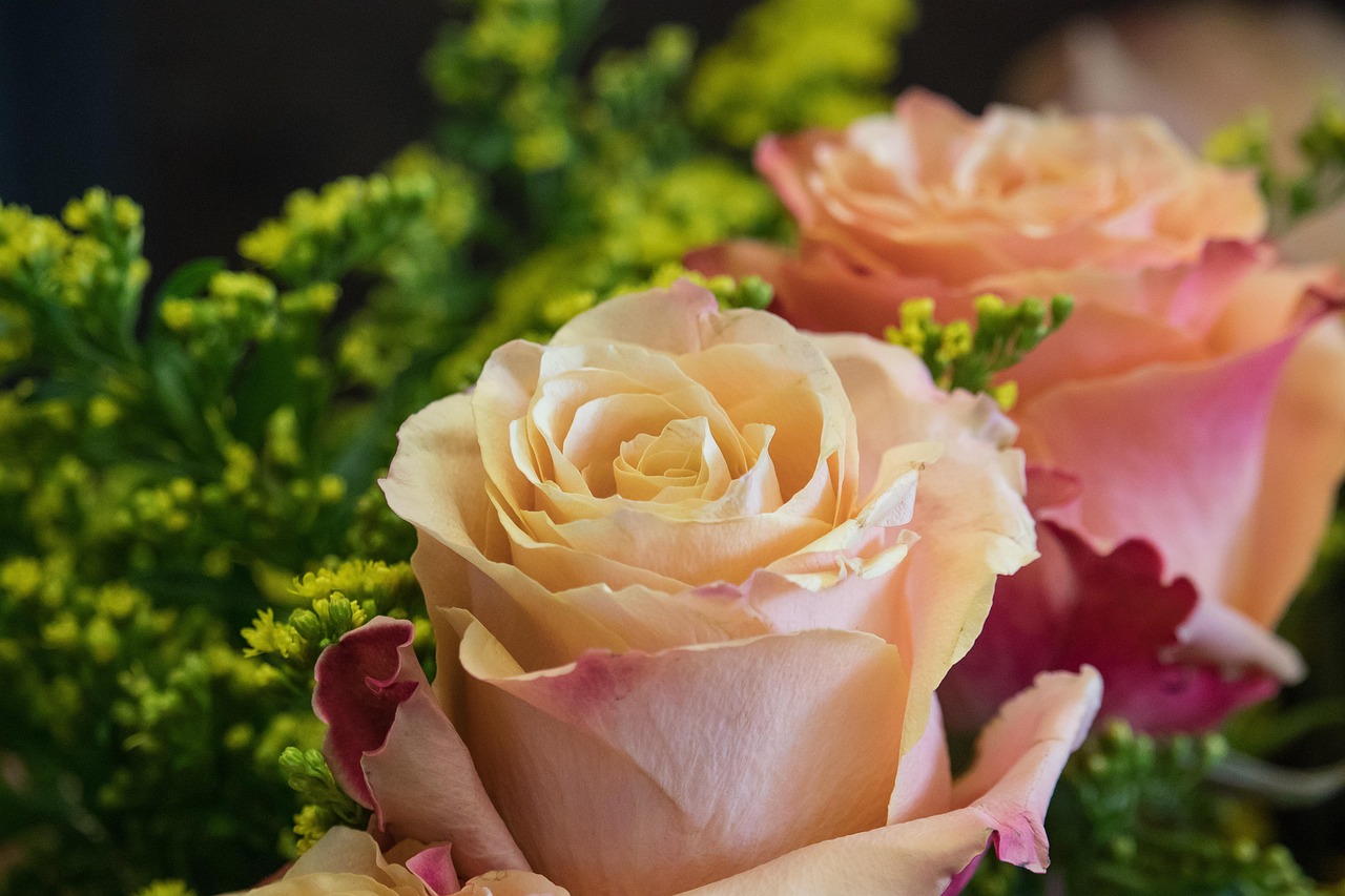 沿河领导层最新任免动态,新变化及其影响展望