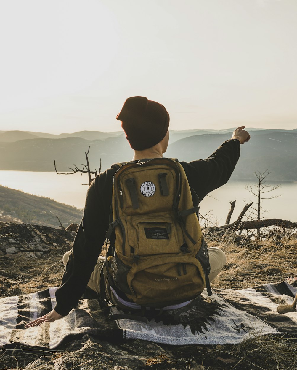 今日最新猪价动态分析与趋势预测
