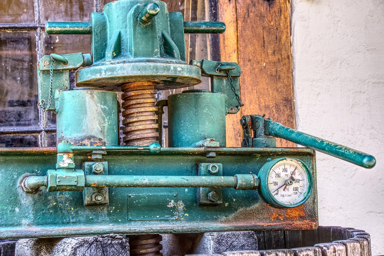 最新枞阳新闻动态更新