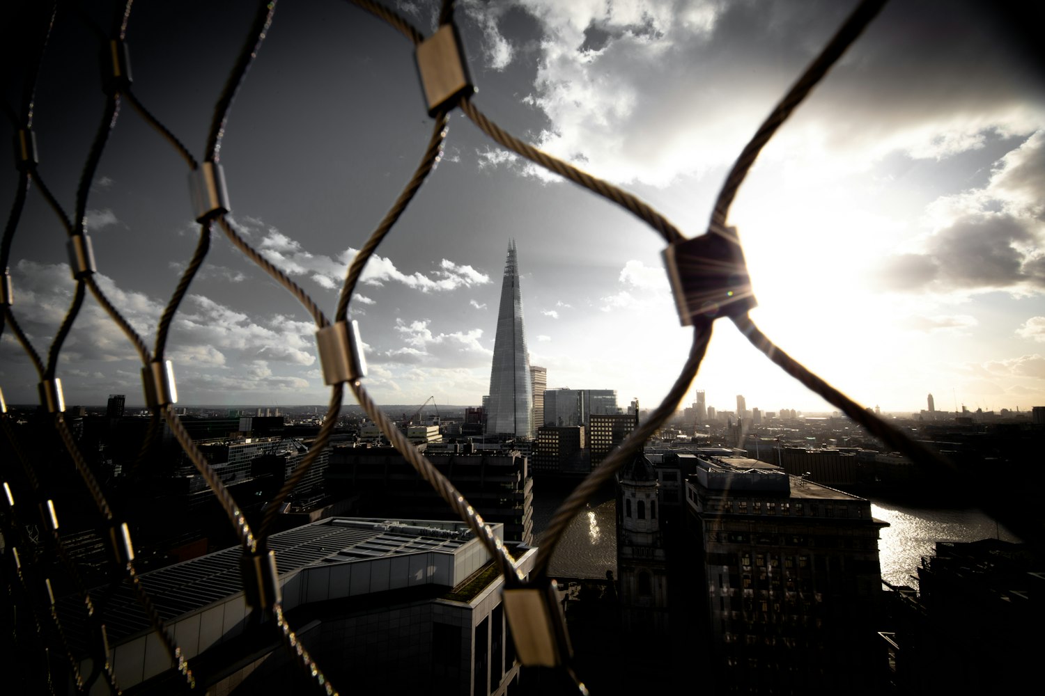 大林森最新漫画,奇幻世界的魅力探索