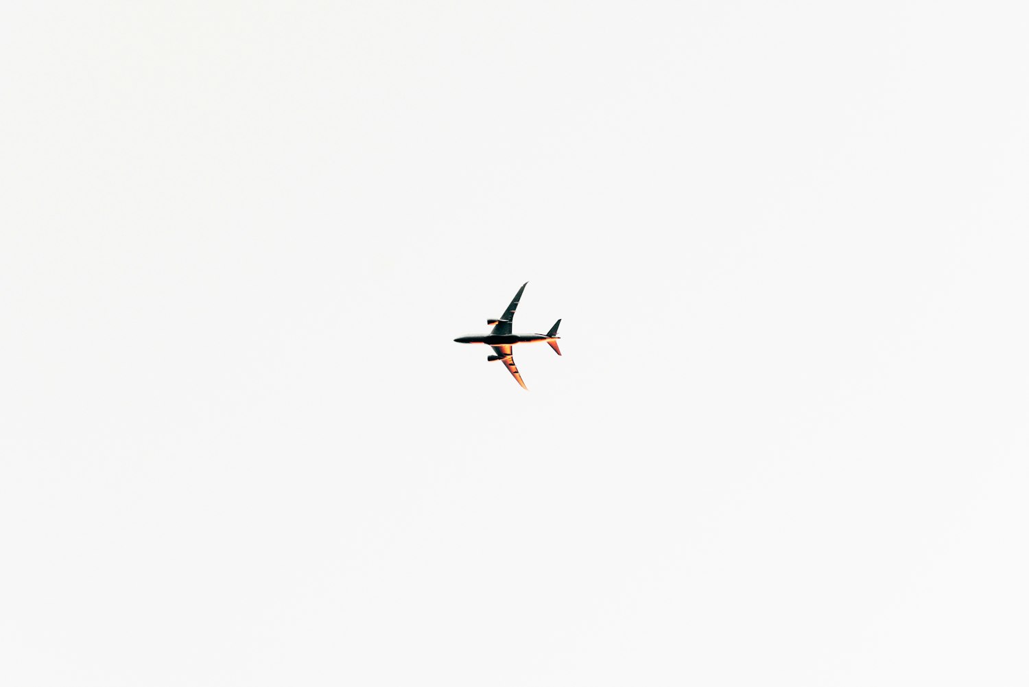 教育部最新政策动态及其深远影响概览