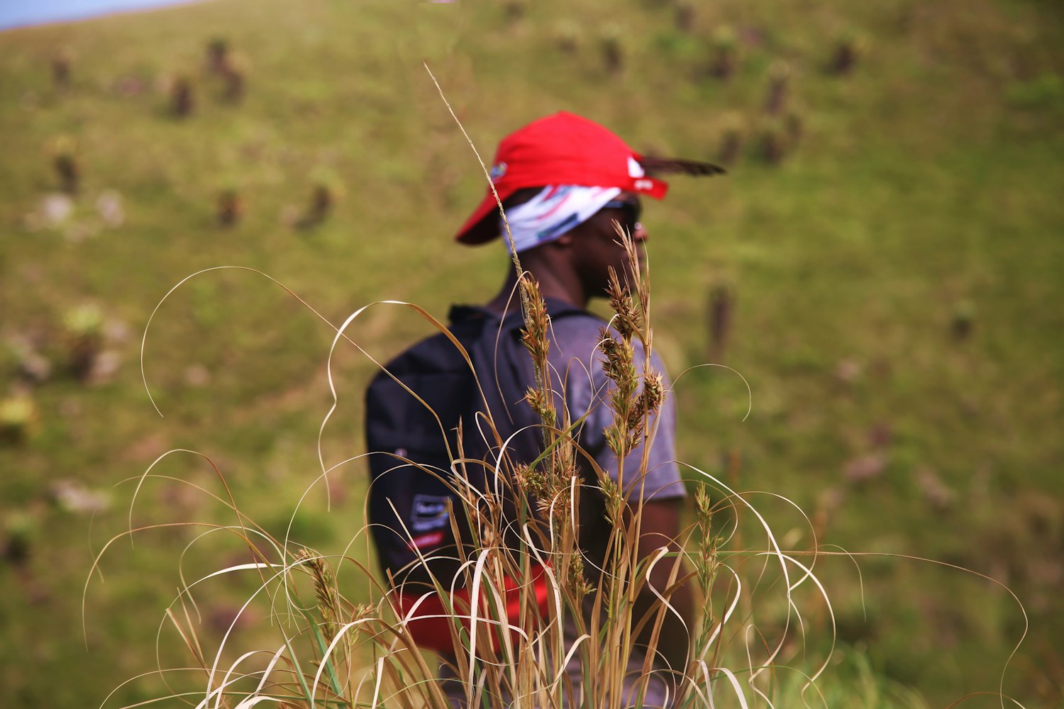 骑马钓鱼，最新小说探险之旅启幕