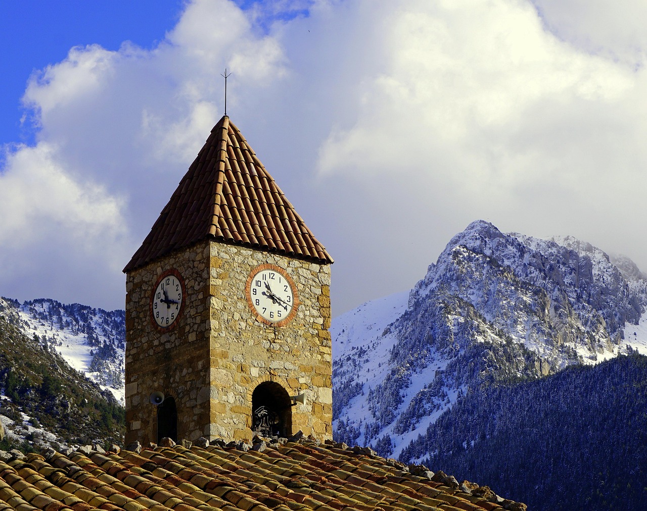 安国白术最新价格及市场动态分析