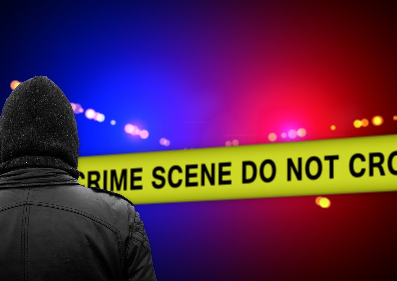 德州武城最新杀人事件，深度解析与探讨