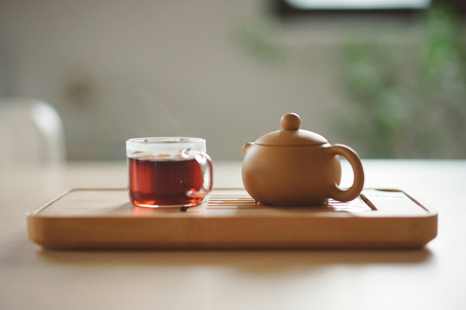 普洱新时代探索,最新茶叶资讯与普洱茶发展动态