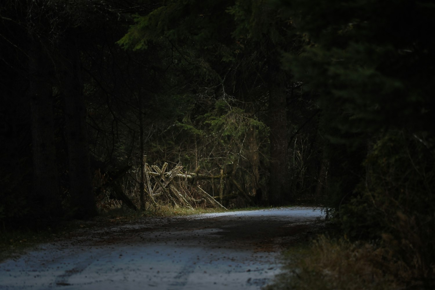 匪大最新小说，神秘未知世界的探索之旅