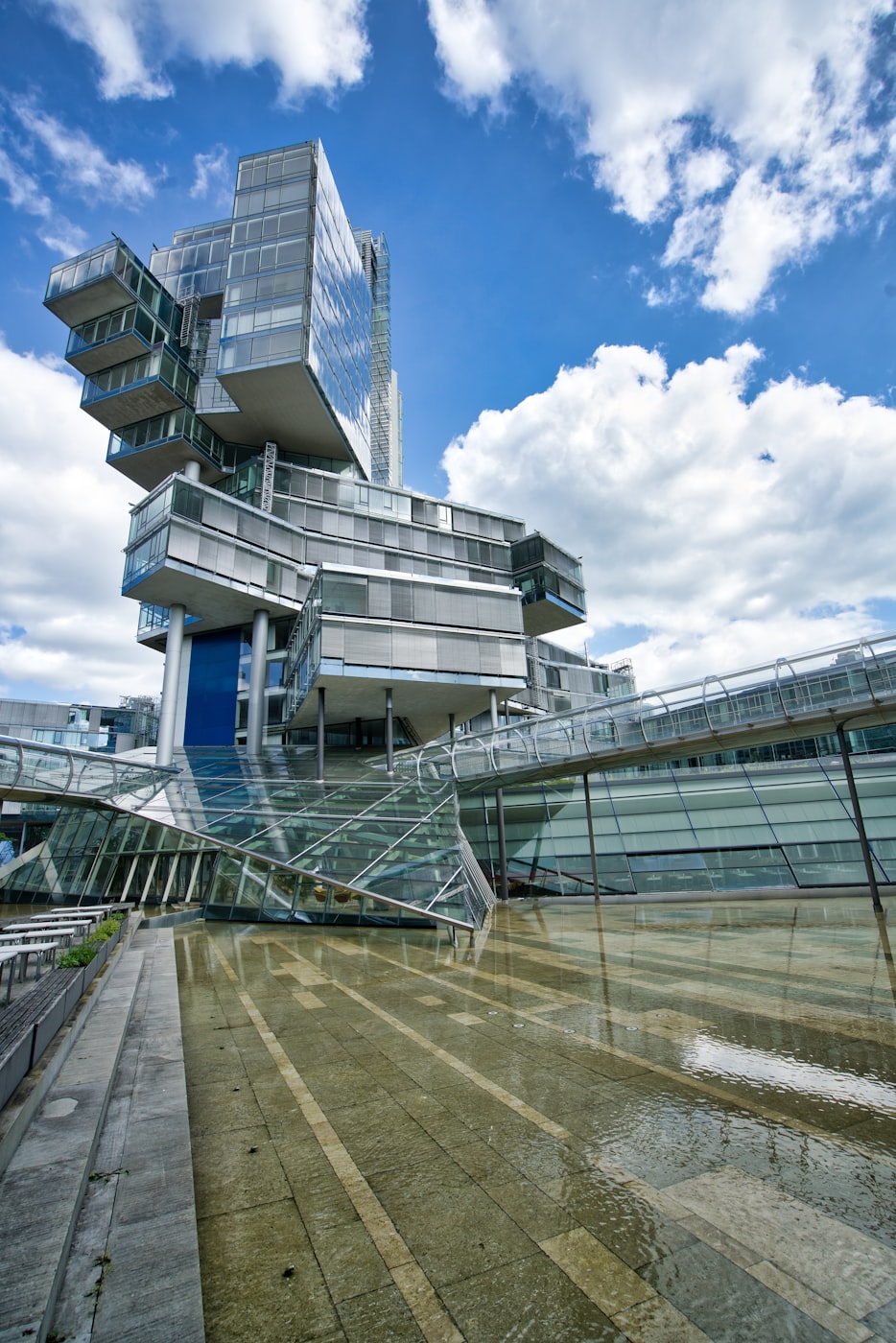 不死帝尊最新动态及深度解析揭秘