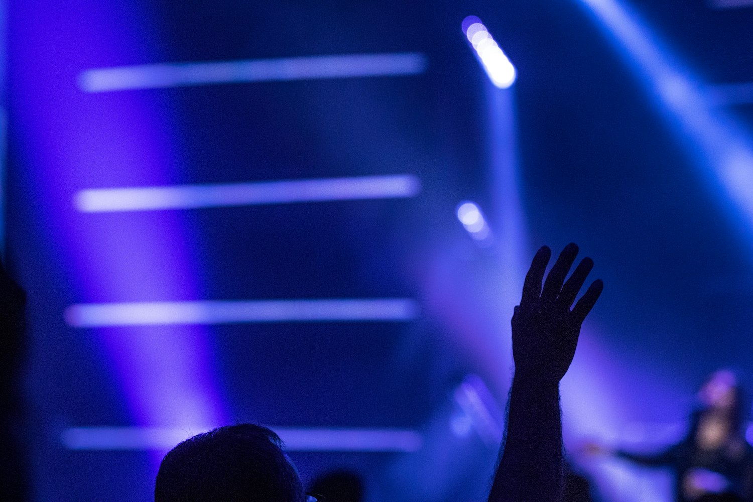 探索免费观影新时代，免费观看最新电影，免费观看电影新体验