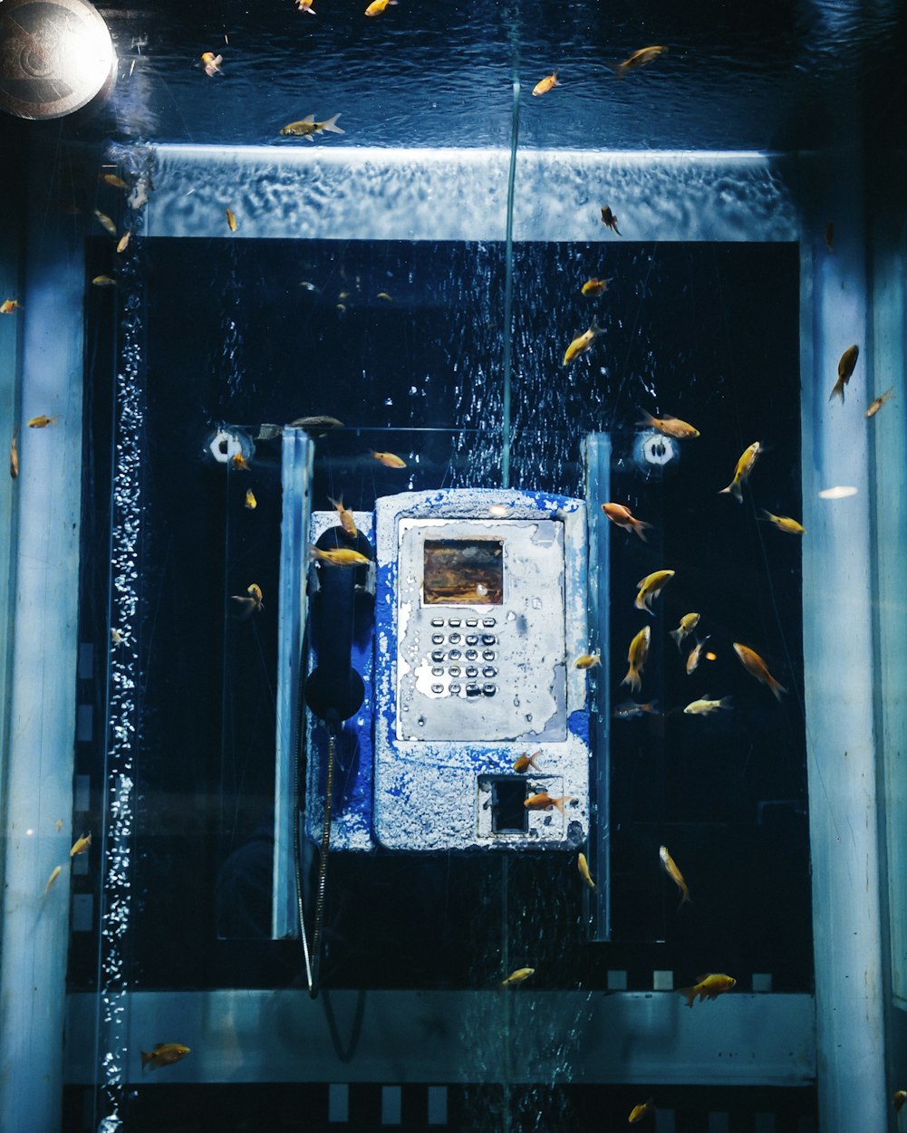 黑色火种最新小说，奇幻未知世界的探索之旅