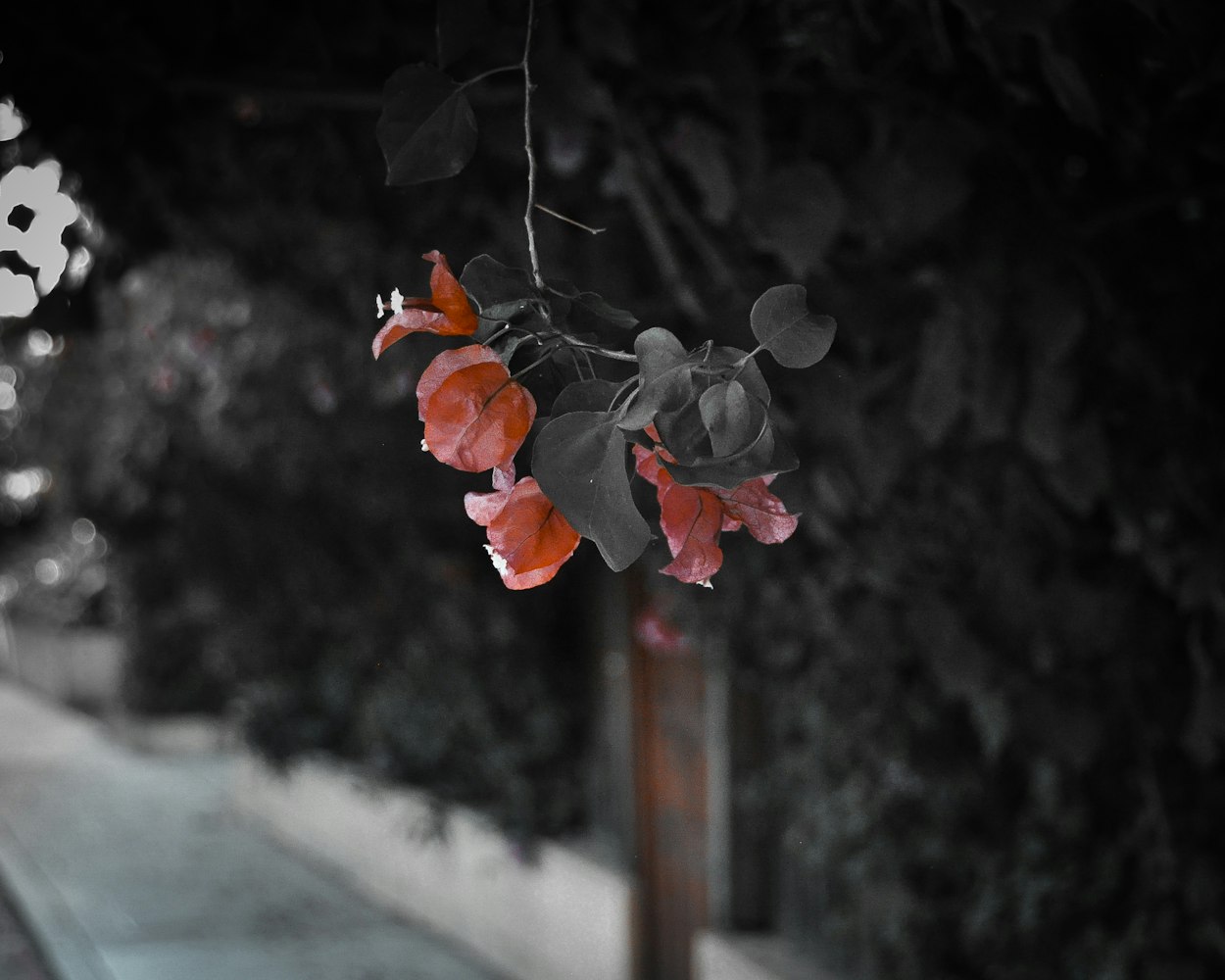 探索现代情感边界，揭秘2017最新午夜伦理的奥秘