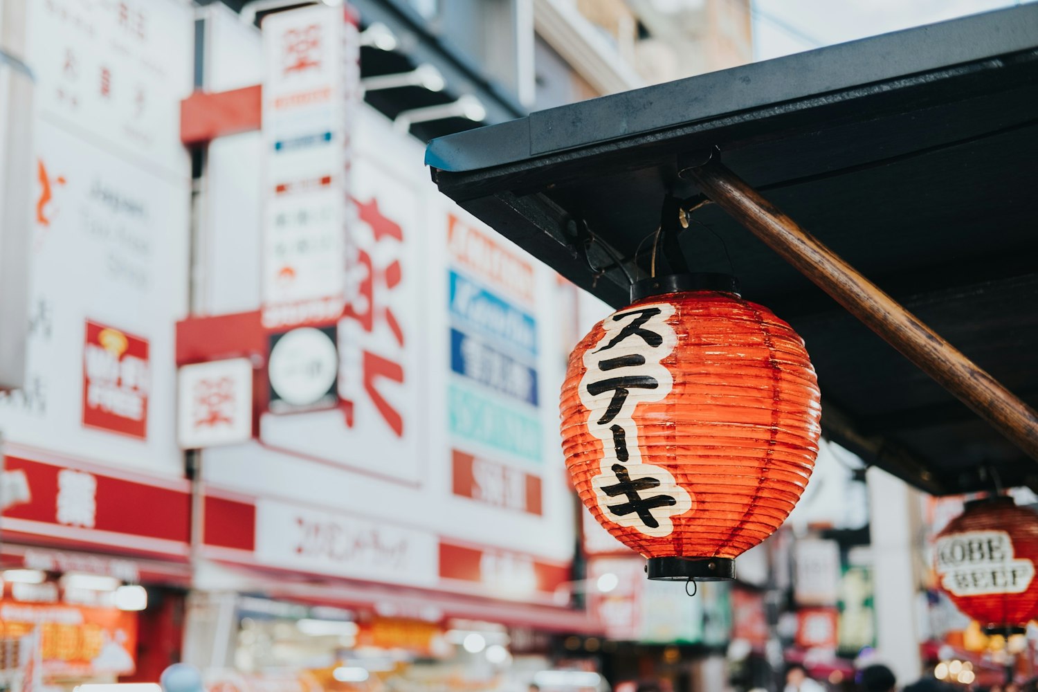 日本新潮文化交汇探索，最新上架精选推荐